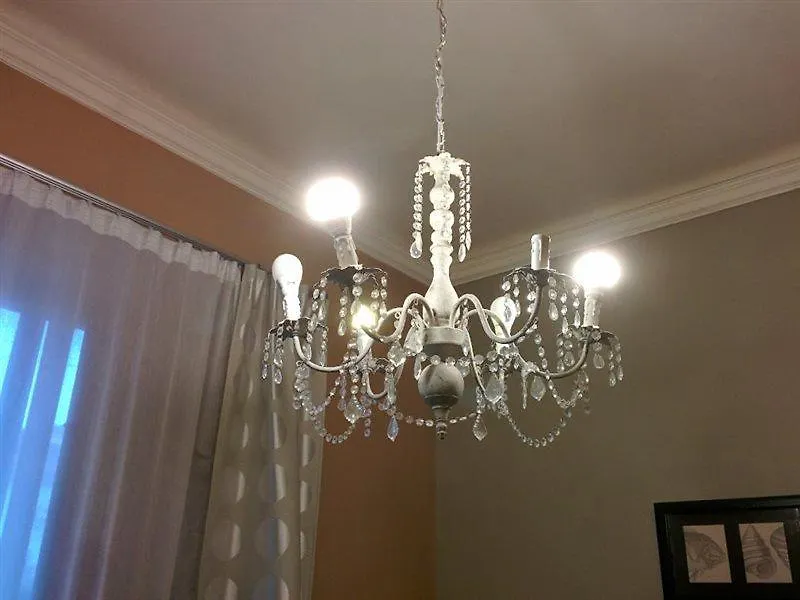 B&B Villa Regina Pisa